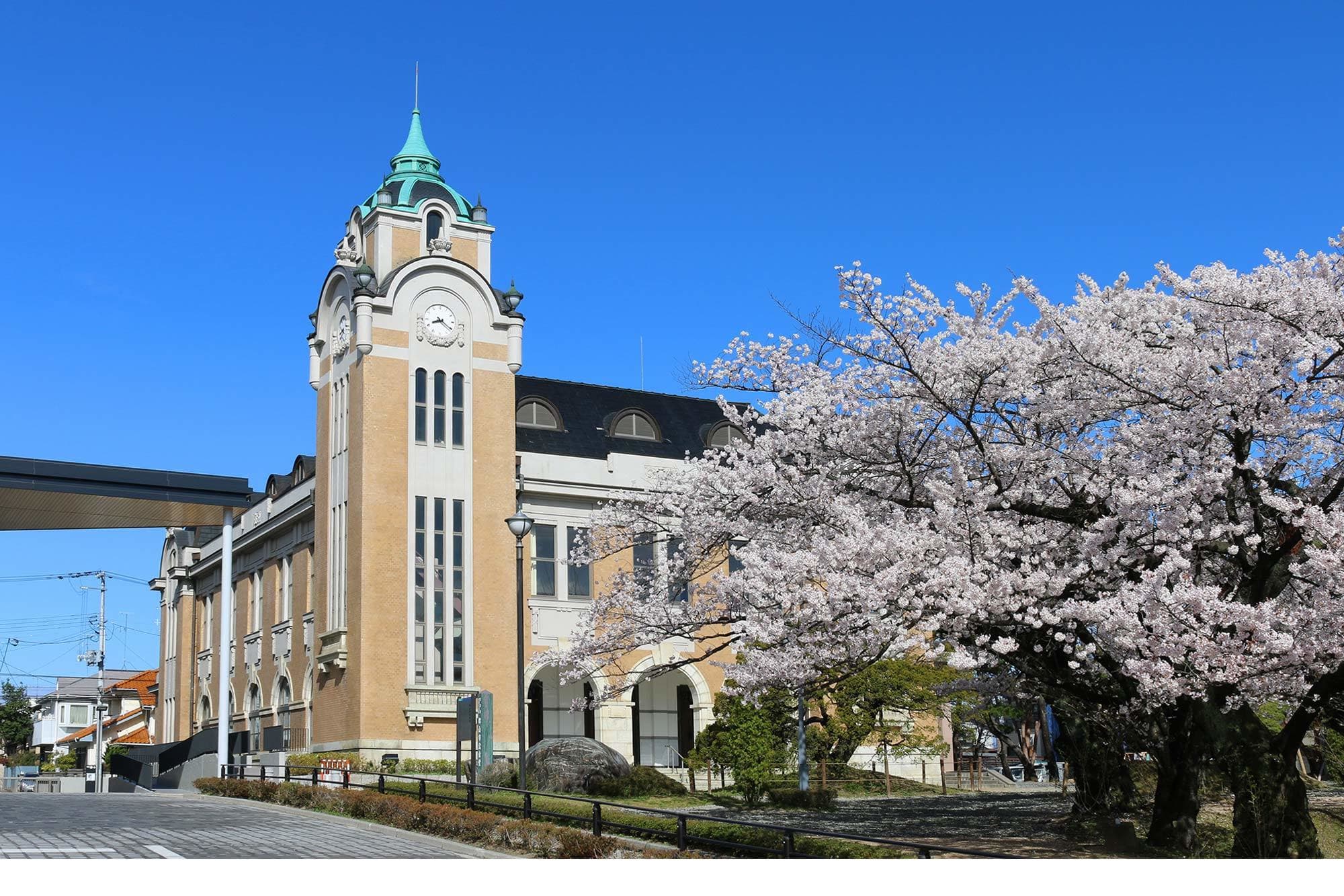 第36回日本四肢再建・創外固定学会学術集会